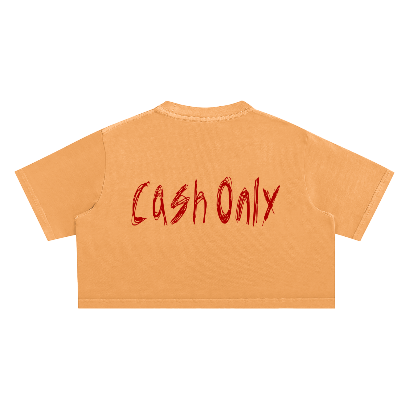 A4IT Snow Washed Crop Top