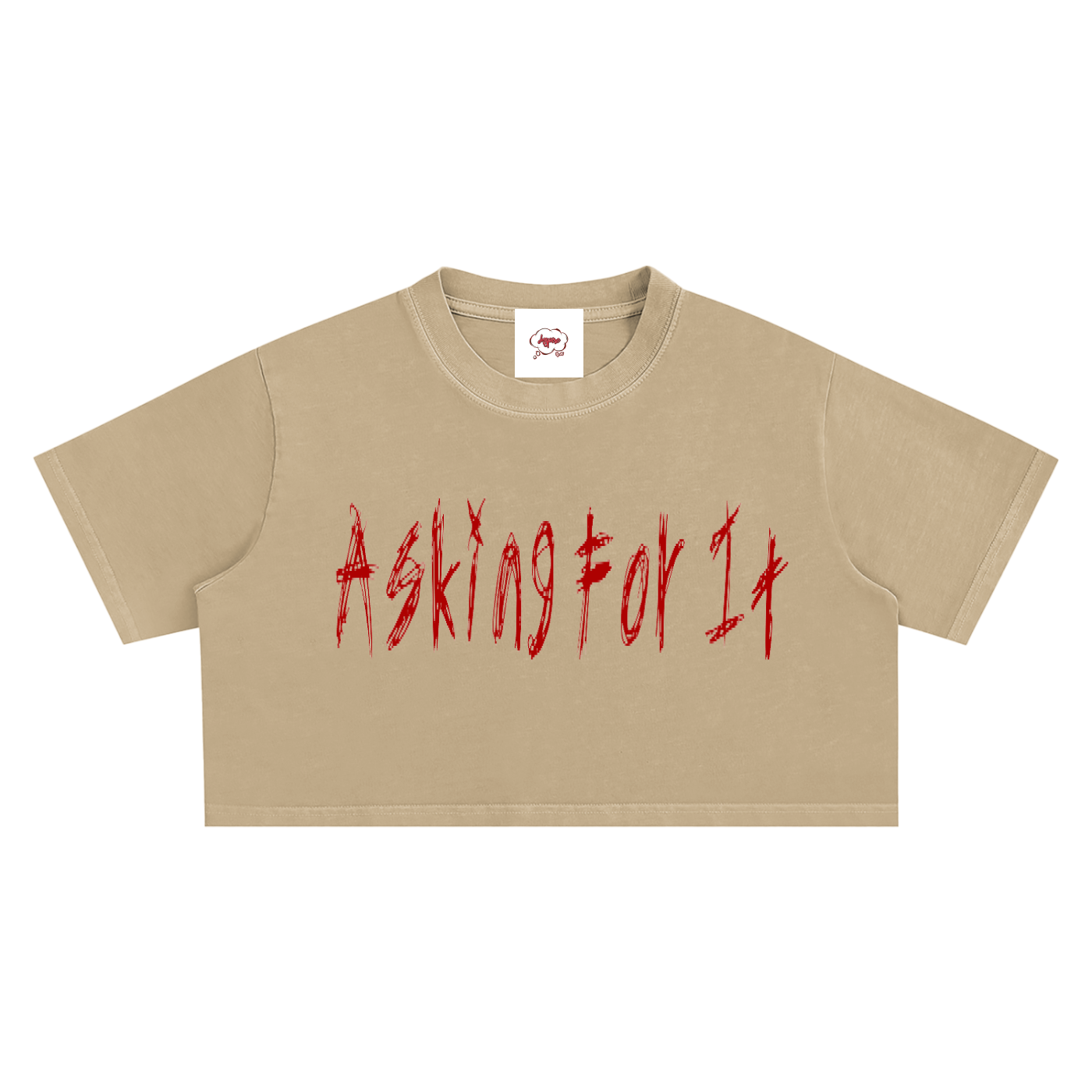 A4IT Snow Washed Crop Top