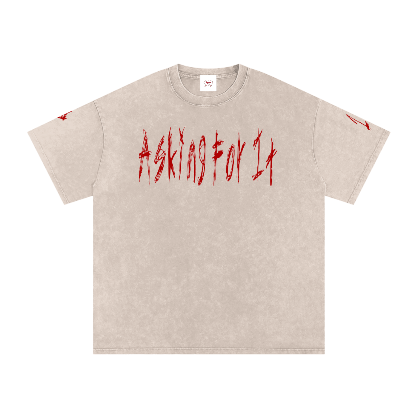 Snow Washed Oversized Cotton T-Shirt