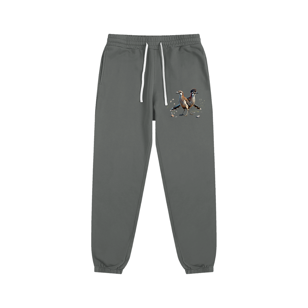 RoadRunner Sweatpants