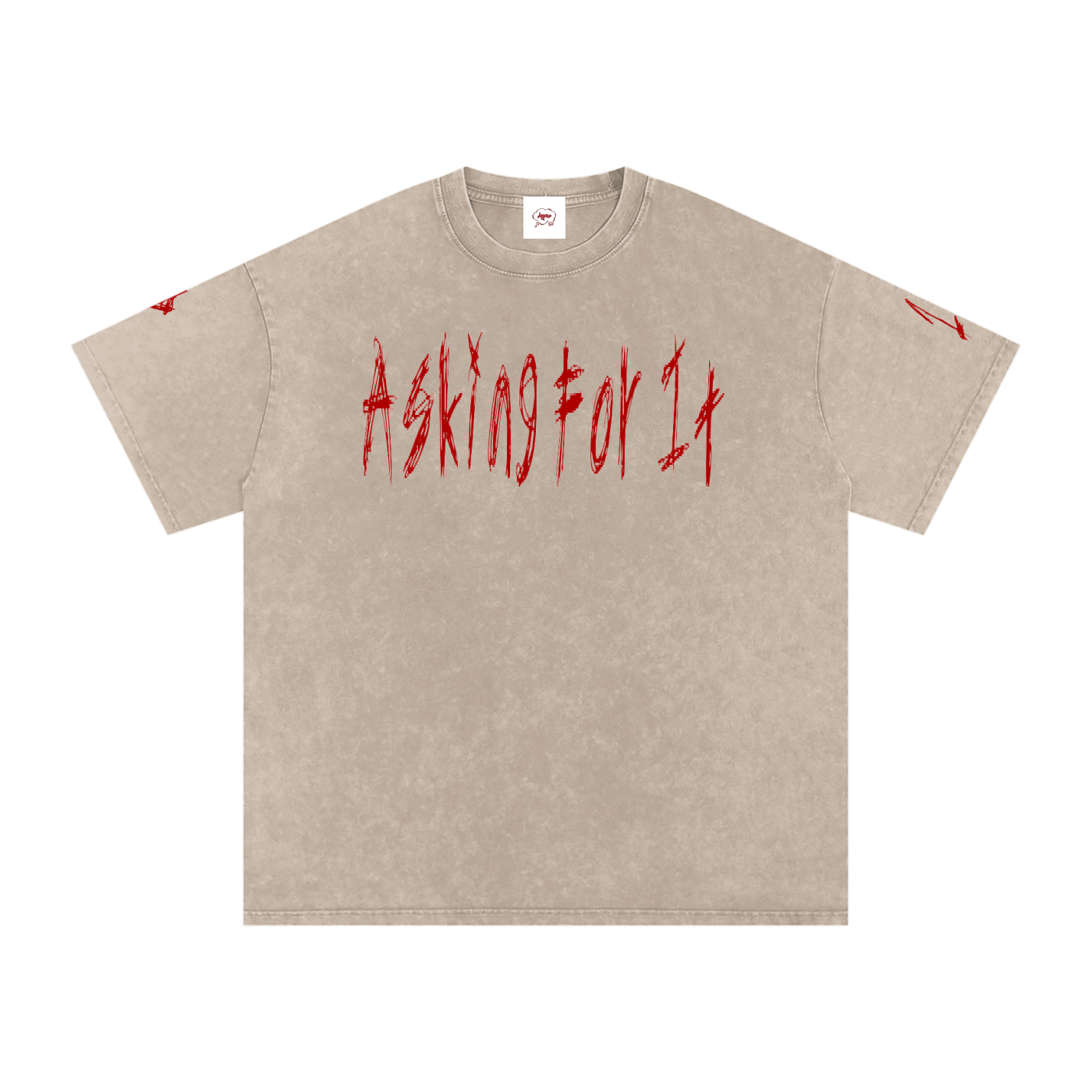Snow Washed Oversized Cotton T-Shirt