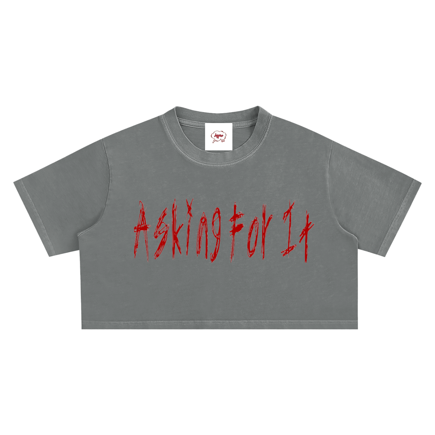 A4IT Snow Washed Crop Top