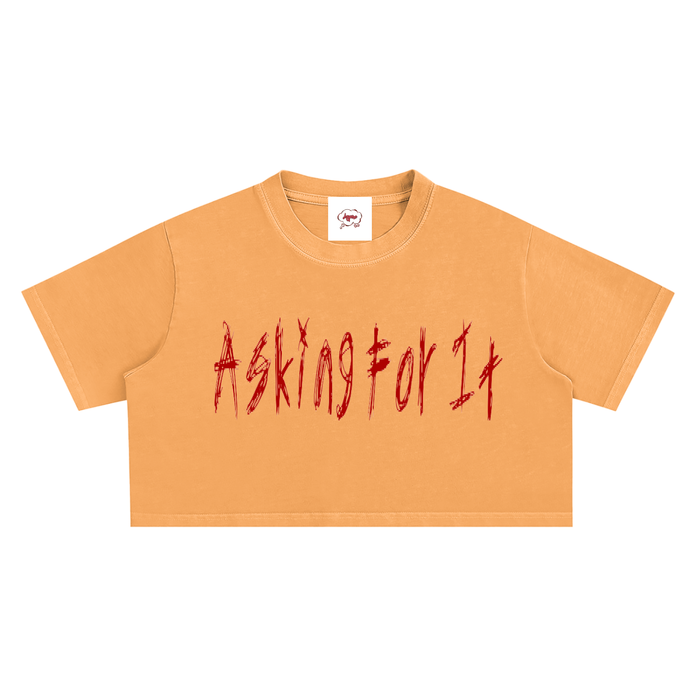 A4IT Snow Washed Crop Top