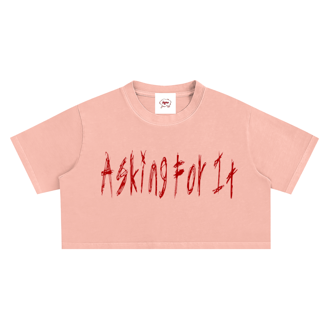 A4IT Snow Washed Crop Top